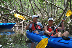 Get Outside on a Kayak Tour
