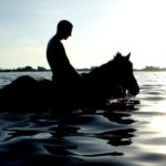 Beach Horses