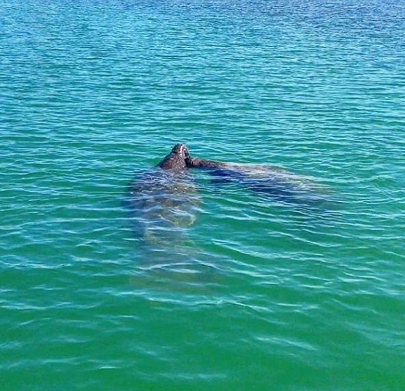 kayak in paradise