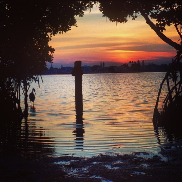 Sarasota’s Best Kept Secrets